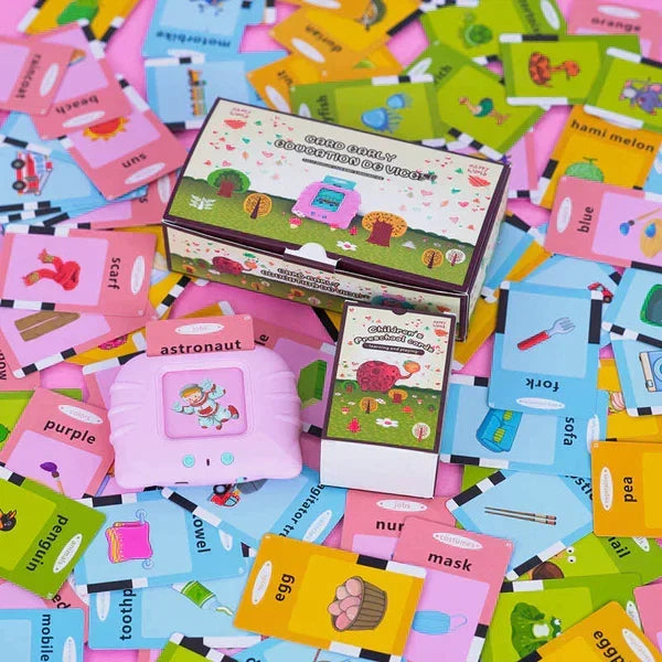 Talking Flash Cards Toy