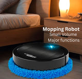 Fully Automatic Intelligent Mute Sweeping Robot