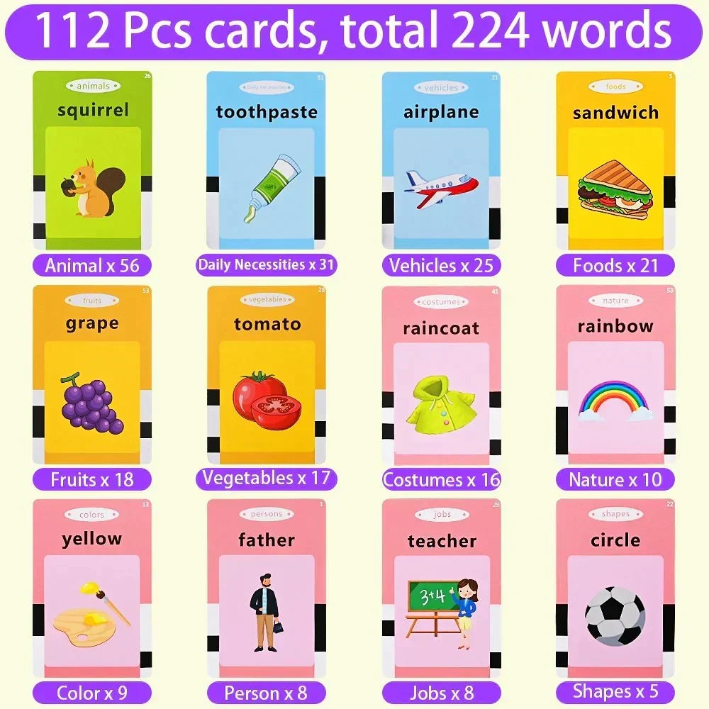 Talking Flash Cards Toy